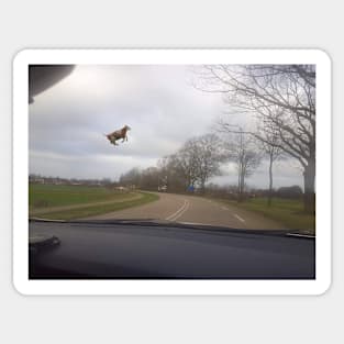 Mysterious Flying Cow - Flying Cow meme Sticker